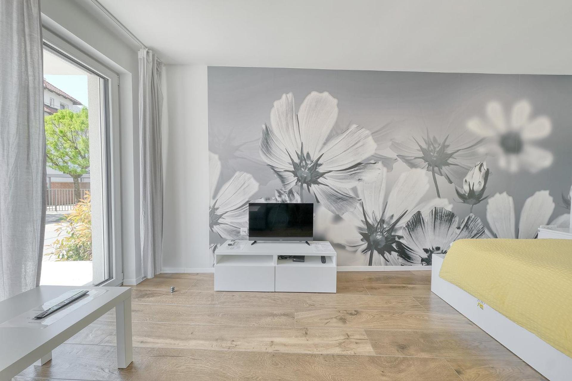 Apartments Trnovo リュブリャナ エクステリア 写真